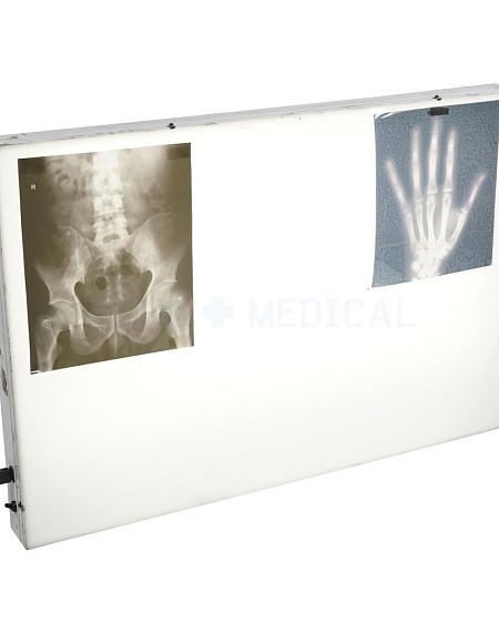 Extra Large Lightbox 123cm X 84cm